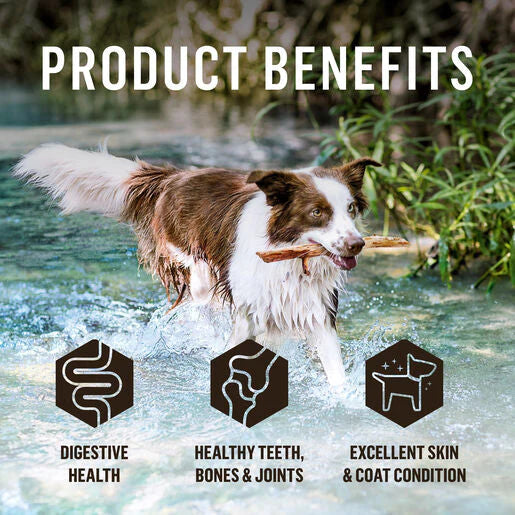 Doctor B's BARF Frozen Raw Dog Food Chicken Recipe 227G x 12