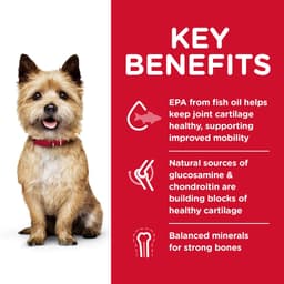 Hill's Science Diet Dog Dry Food Healthy Mobility Small Bites