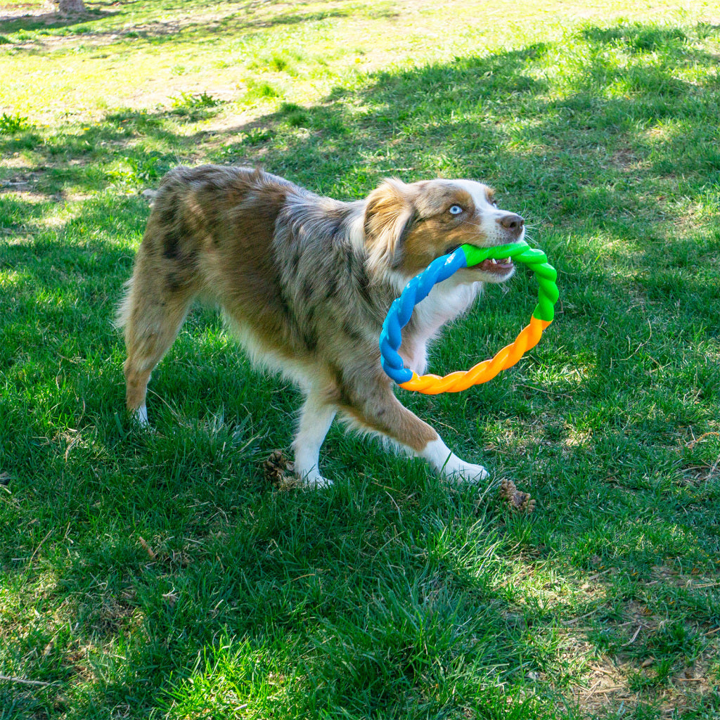 KONG Dog Toy Twists Hi Vis Ring Large