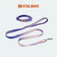 VITALWAVE Dreamfade Dog Collar & Leash Set