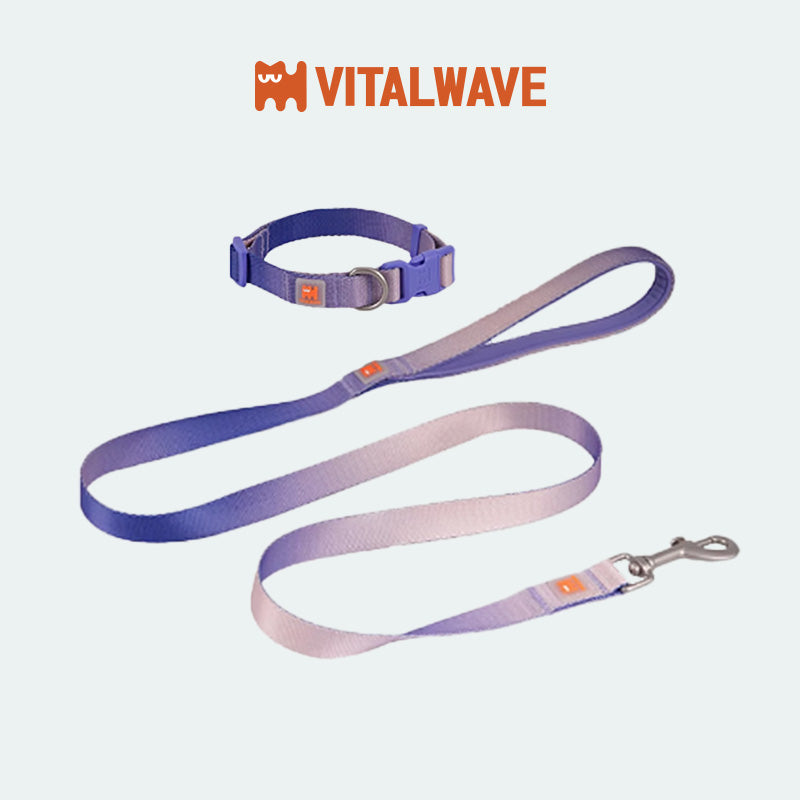 VITALWAVE Dreamfade Dog Collar & Leash Set