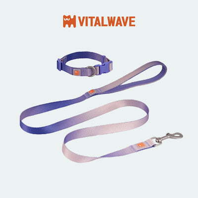 VITALWAVE Dreamfade Dog Collar & Leash Set