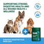 NAS Natural Animal Solutions - Digestavite Plus Powder 100g