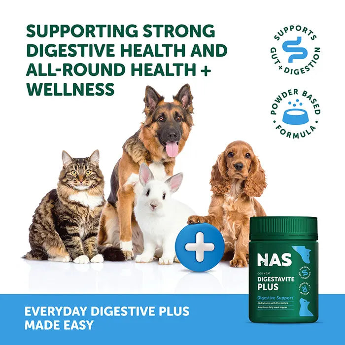 NAS Natural Animal Solutions - Digestavite Plus Powder 100g