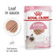 ROYAL CANIN Kitten Loaf Wet Cat Food 85g x 12
