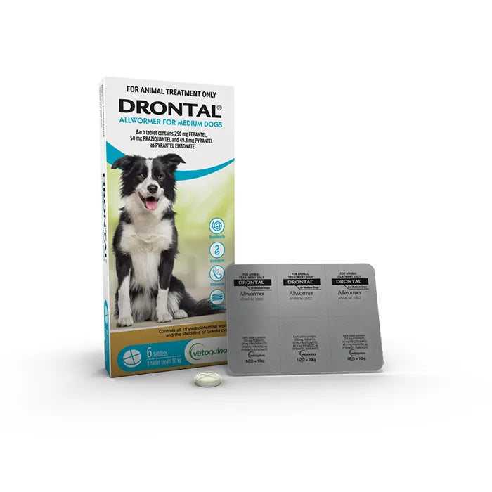 Drontal Allwormer Tablets For Medium Dogs 6 Tables
