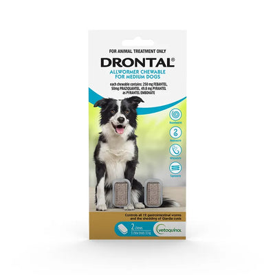 Drontal Allwormer Chew For Medium Dogs