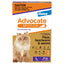 ADVOCATE CAT LARGE PURPLE OVER 4KG