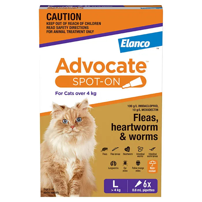 ADVOCATE CAT LARGE PURPLE OVER 4KG