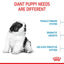 ROYAL CANIN Giant Puppy Dog Dry Food 15kg