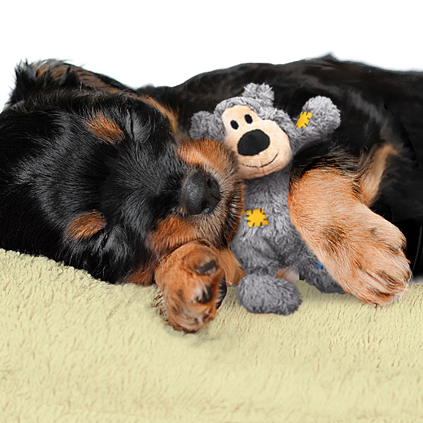 KONG Squeaky Dog Toy Wild Knots Bear