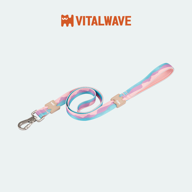 VITALWAVE Gradient Peaks Dog Leash