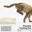 PIDAN Cassava & Tofu Cat Litter 2.4kg/6L