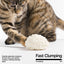 PIDAN Cassava Cat Litter 2.4kg/6L