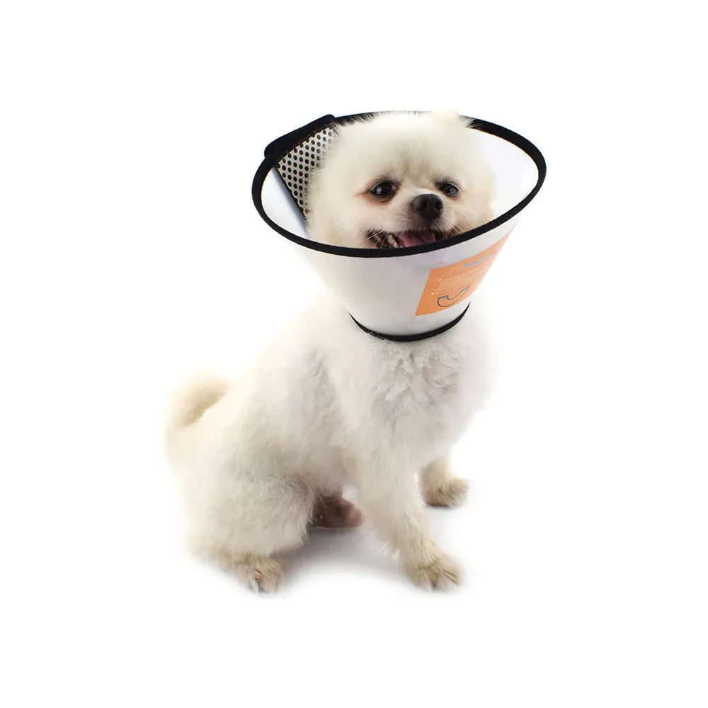 Pet Plastic Elizabethan Collar