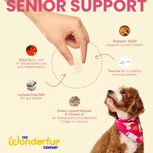 Wonderfur Bites Freeze-Dried Yogurt Senior Support for Dogs