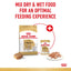 ROYAL CANIN Chihuahua Loaf Adult Wet Dog Food 85g x 12