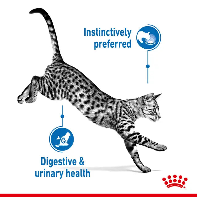 ROYAL CANIN Indoor Gravy Adult Wet Cat Food 85g x 12