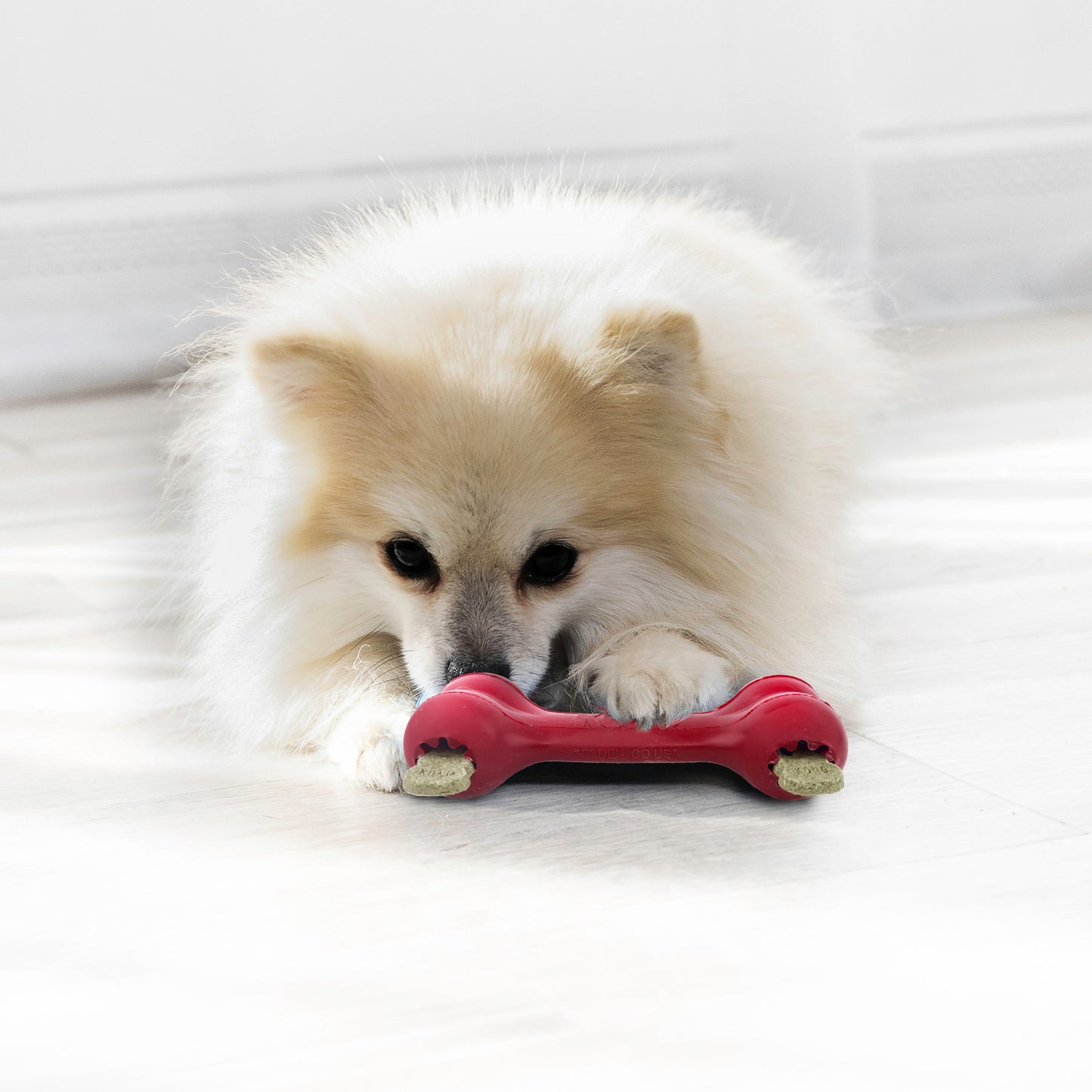 KONG Dog Toy Goodie Bone