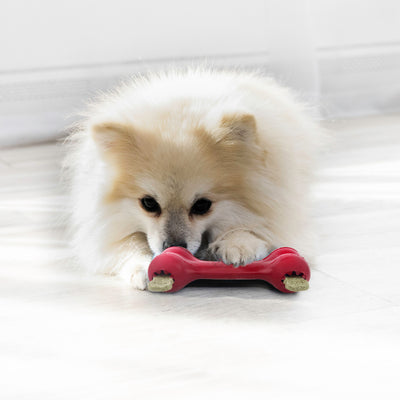 KONG Dog Toy Goodie Bone