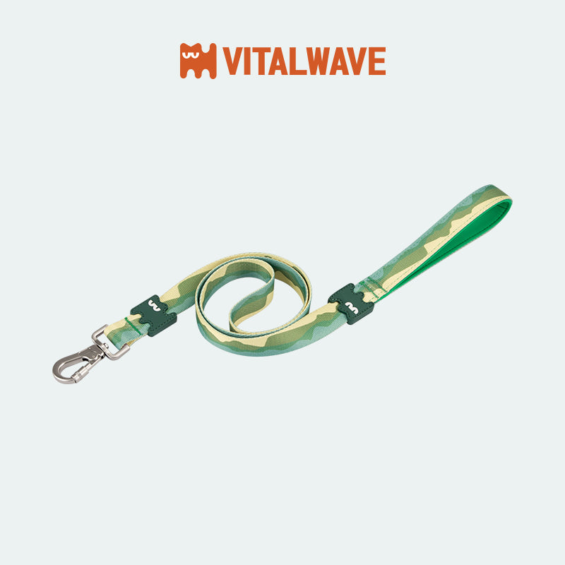 VITALWAVE Gradient Peaks Dog Leash
