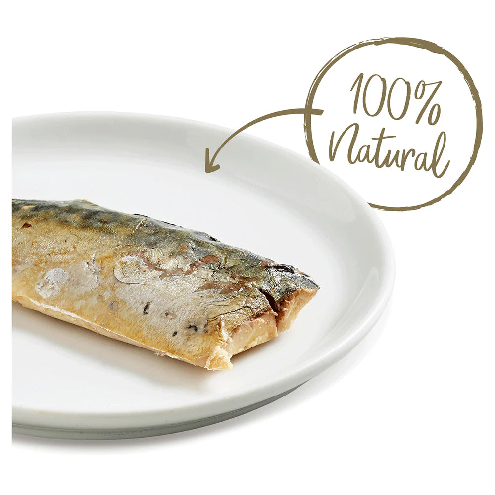 Applaws Cat Treat Whole Mackerel Loin 30g