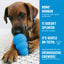 KONG Dog Toy Classic Rubber Puppy Assorted Color