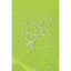 M-PETS PAW Style Cat Litter Mat Green