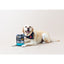 SavourLife Dog Treats Training Treats Australian Salmon 150g
