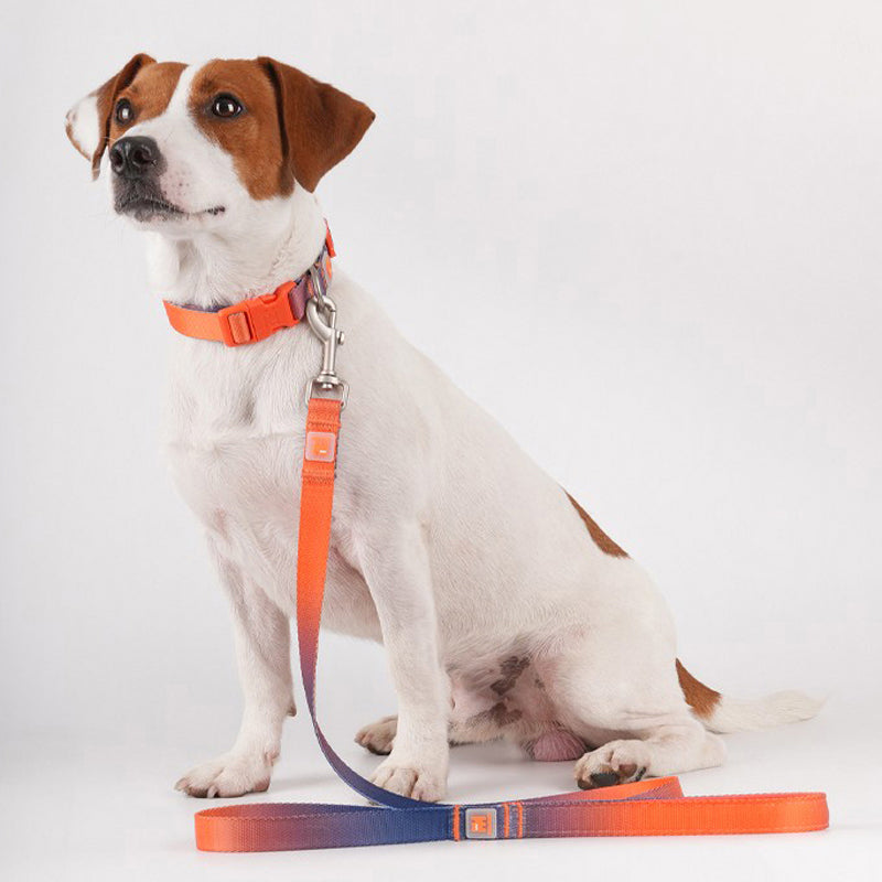 VITALWAVE Dreamfade Dog Collar & Leash Set