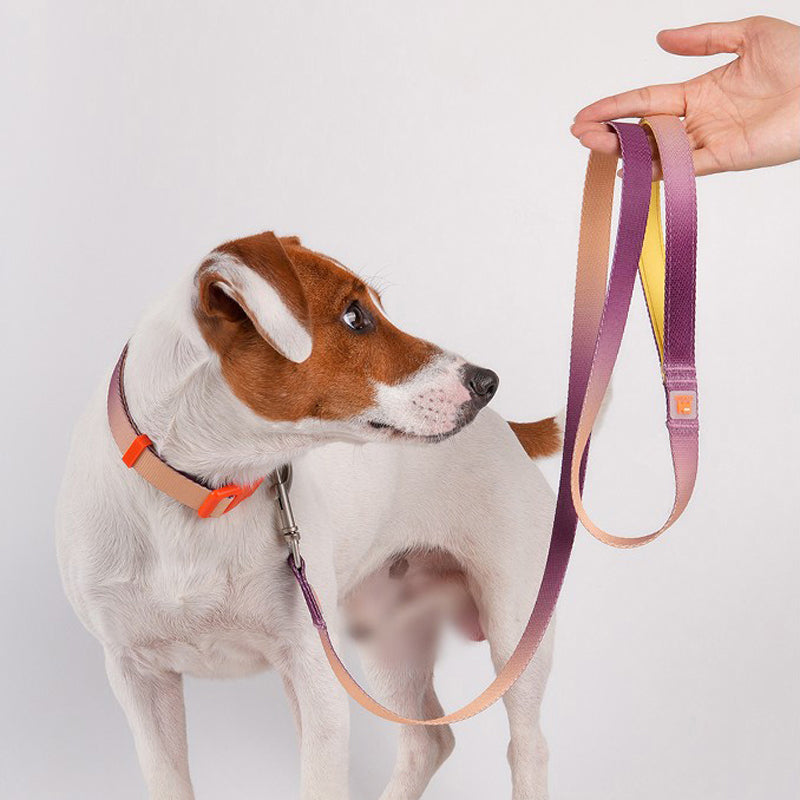 VITALWAVE Dreamfade Dog Collar & Leash Set