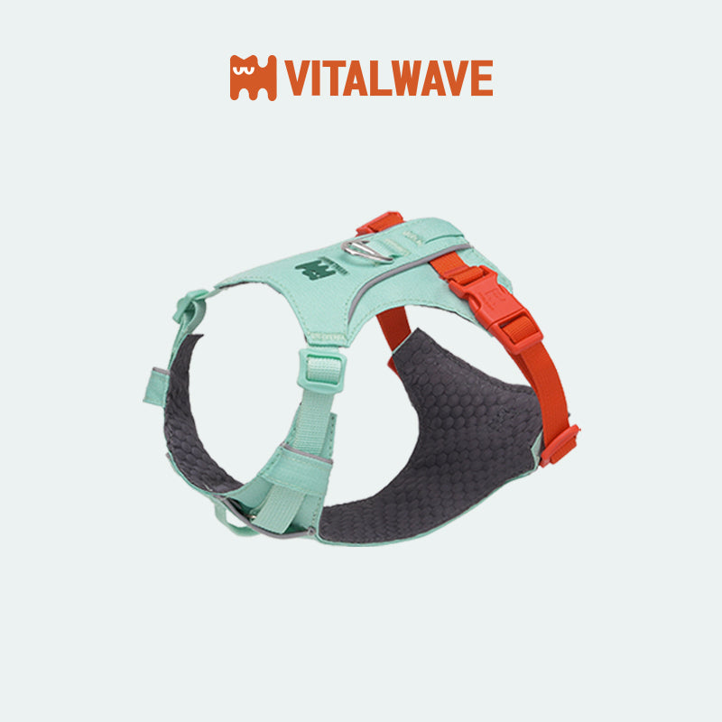 VITALWAVE FeatherGlow Dog Harness