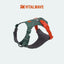 VITALWAVE FeatherGlow Dog Harness