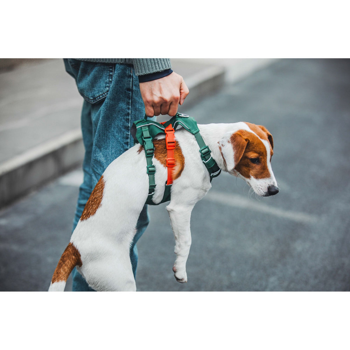 VITALWAVE FeatherGrip Dog Harness