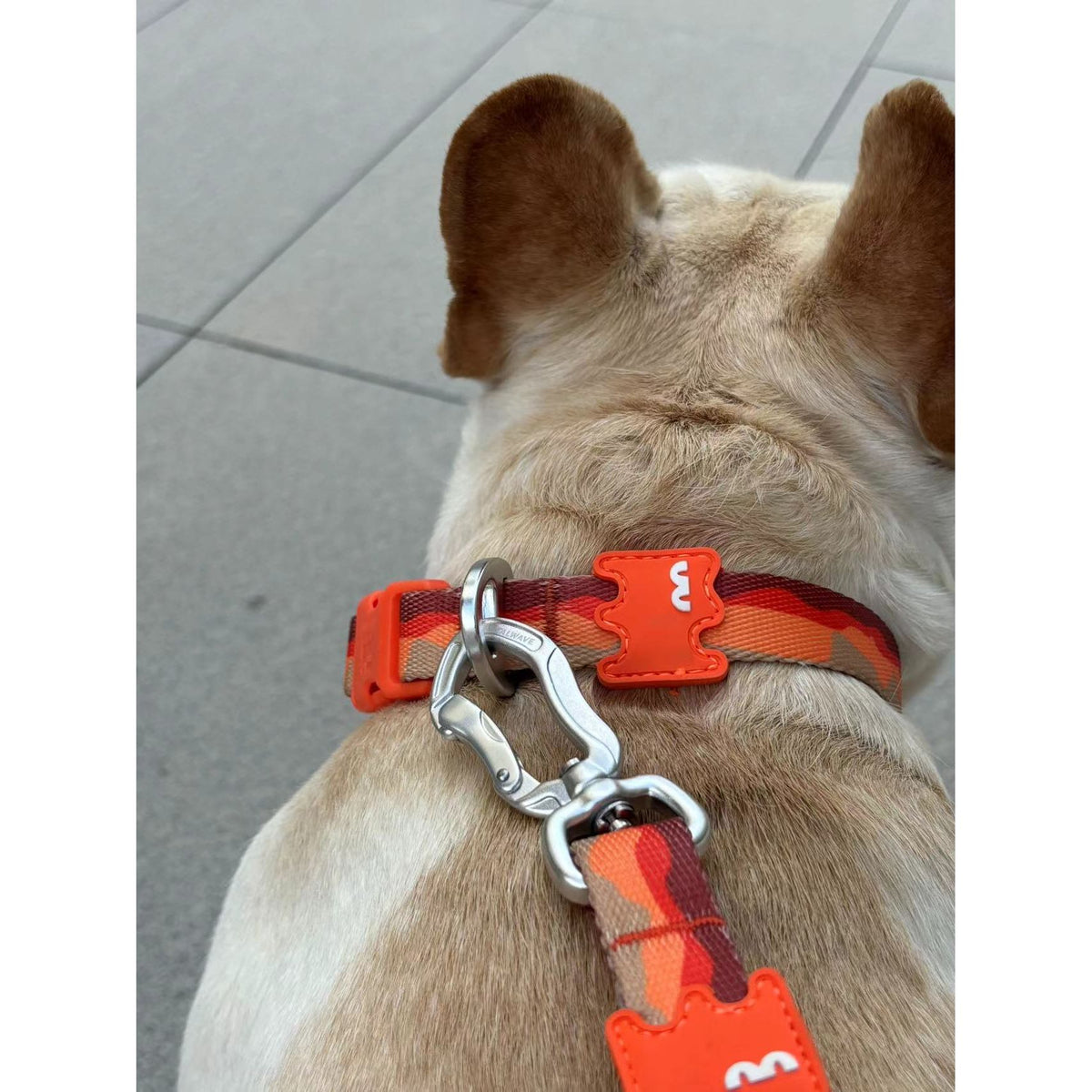 VITALWAVE Gradient Peaks Dog Leash