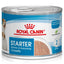 ROYAL CANIN Mother & Babydog Starter Ultra Soft Mousse 12x195g