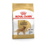 ROYAL CANIN Gold Retriever Adult Dog Dry Food