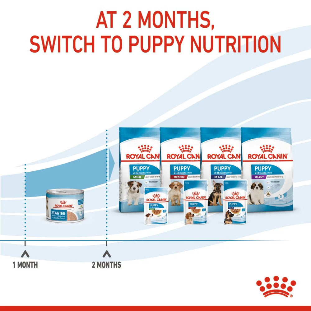 ROYAL CANIN Mother & Babydog Starter Ultra Soft Mousse 12x195g