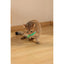M-Pets CHARMY Catnip Cat Toy - FIREFLY Green