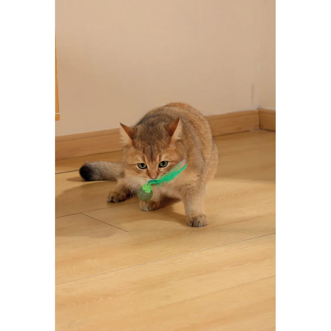 M-Pets CHARMY Catnip Cat Toy - FIREFLY Green
