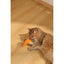 M-Pets CHARMY Catnip Cat Toy - BUGBEAR Orange