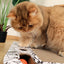 M-Pets URBANSTYLE Freestyle Cat Scratcher - Black & White