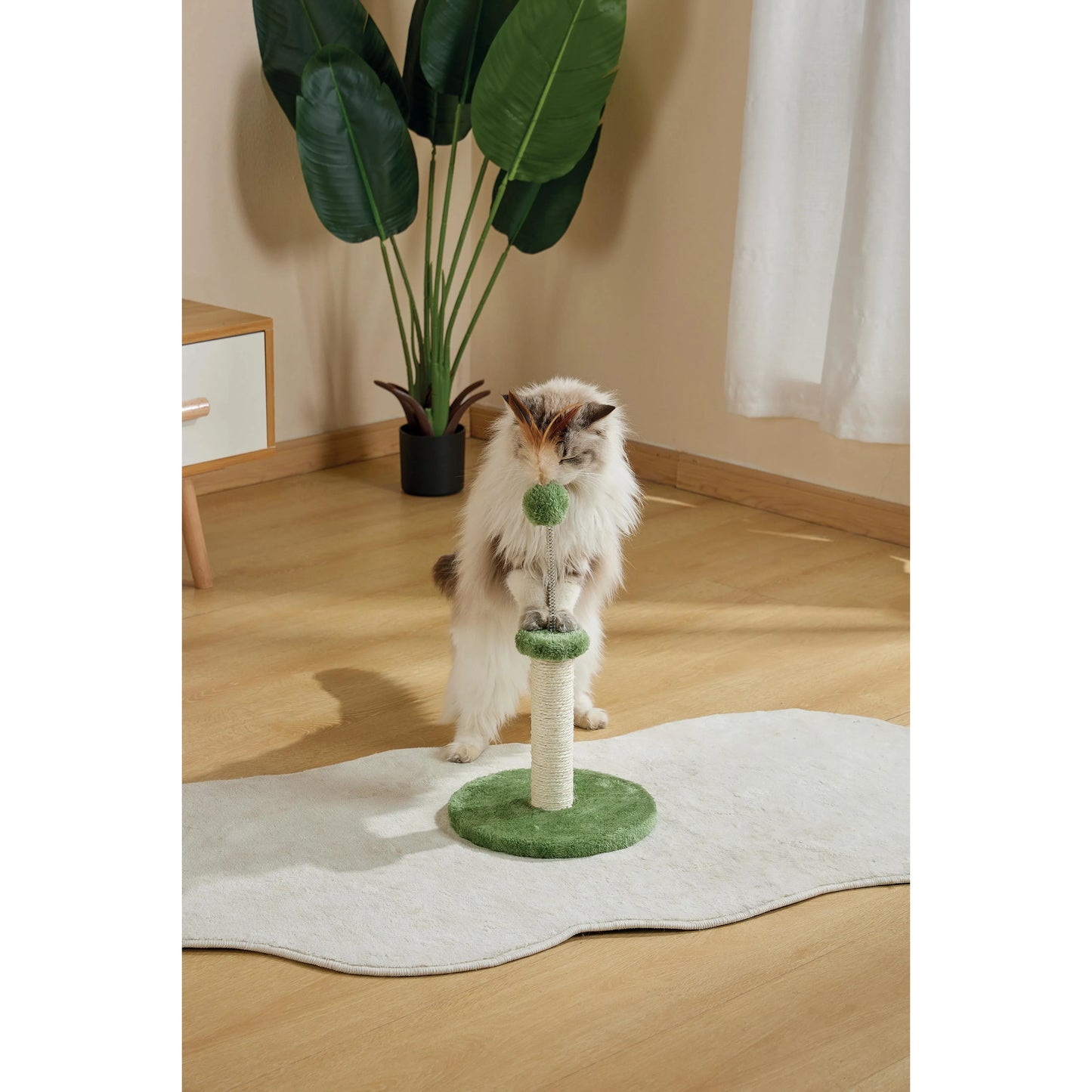 M-Pets MY FIRST CAT TREE Feather - Green