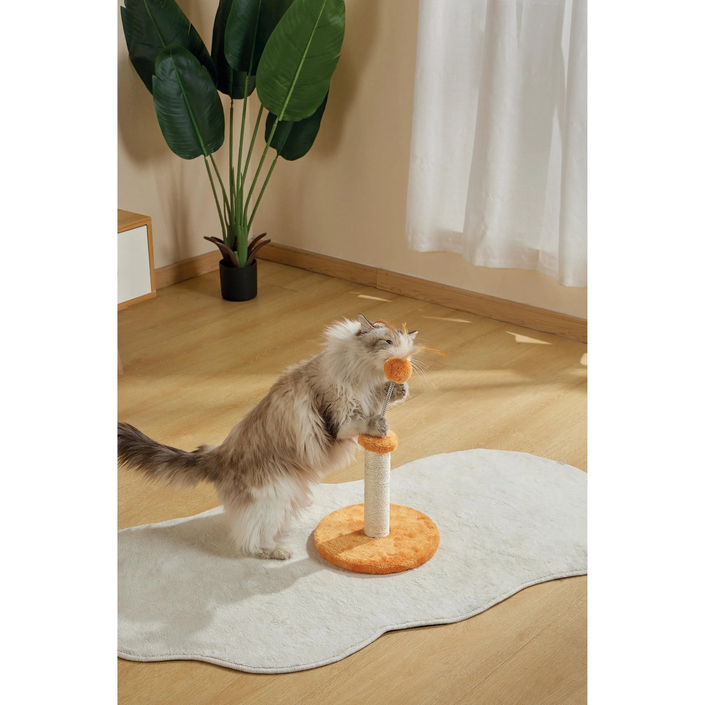 M-Pets MY FIRST CAT TREE Feather - Orange