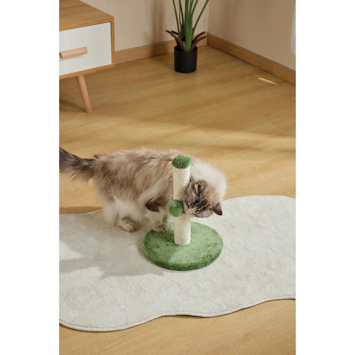 M-Pets MY FIRST CAT TREE Pompom - Green