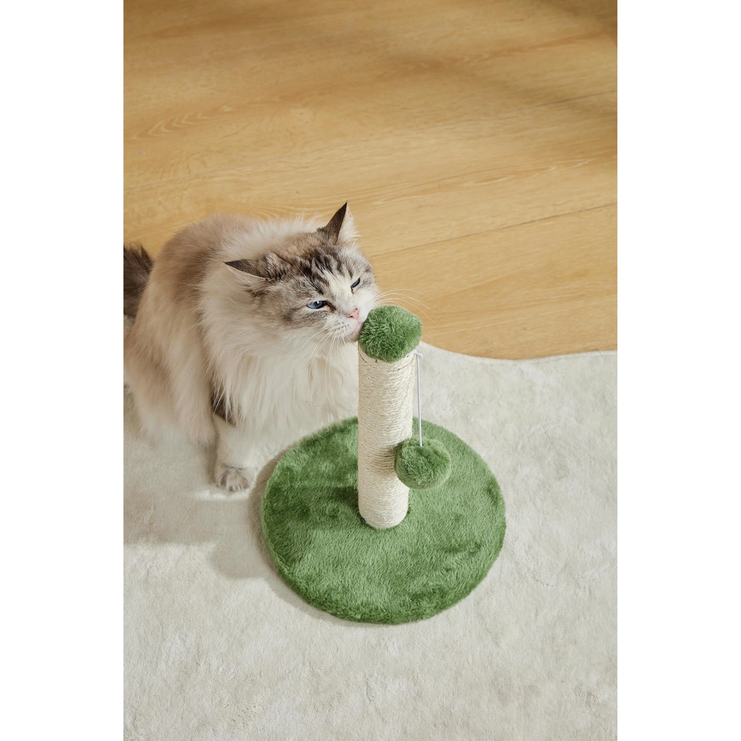 M-Pets MY FIRST CAT TREE Pompom - Green
