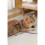 M-Pets URBANSTYLE Jazz Stripes Cat ECO SET (Harness & Leash)