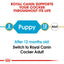 ROYAL CANIN Cocker Spaniel Puppy Dry Dog Food 3Kg