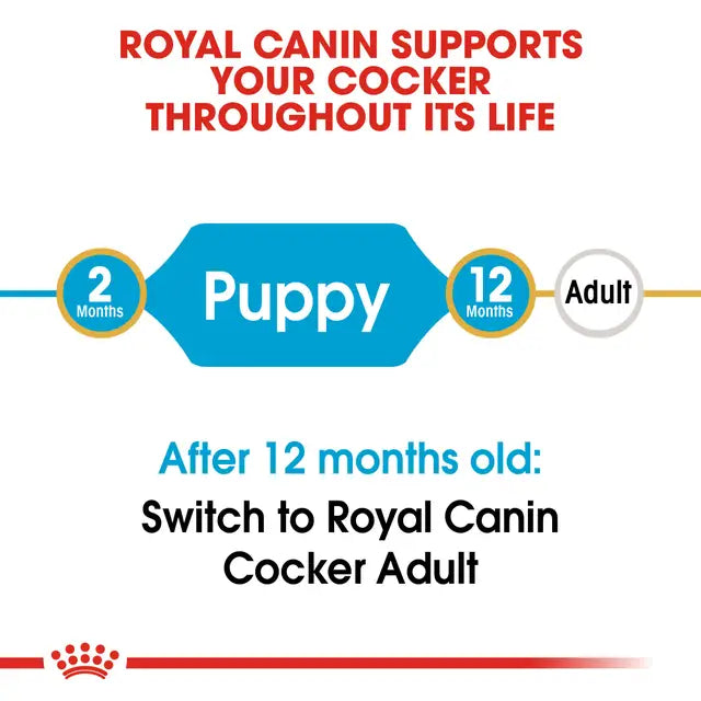 ROYAL CANIN Cocker Spaniel Puppy Dry Dog Food 3Kg