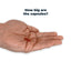 Antinol Plus capsule shown in a hand for size